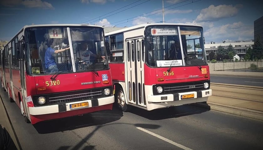 Dwa zabytkowe autobusy marki Ikarus na moście Pokoju we Wrocławiu.