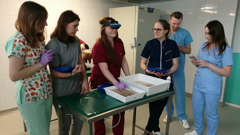 Wrocławscy studenci weterynarii uczą się na symulatorach zwierząt