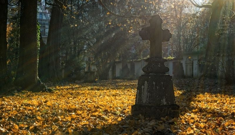Identyfikatory zezwalające na dojazd do cmentarzy w okresie Wszystkich Świętych - w celach zaopatrzeniowych