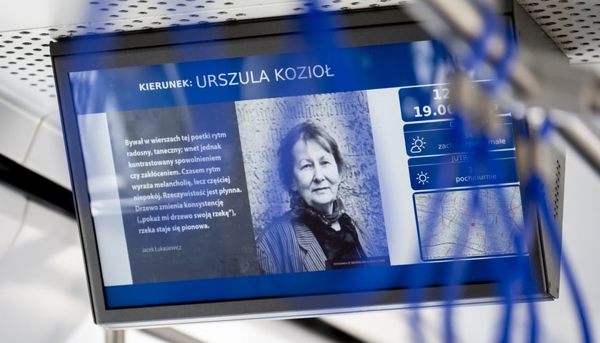 <p>MPK Wrocław nadało jednemu ze swoich pojazd&oacute;w imię Urszuli Kozioł</p>