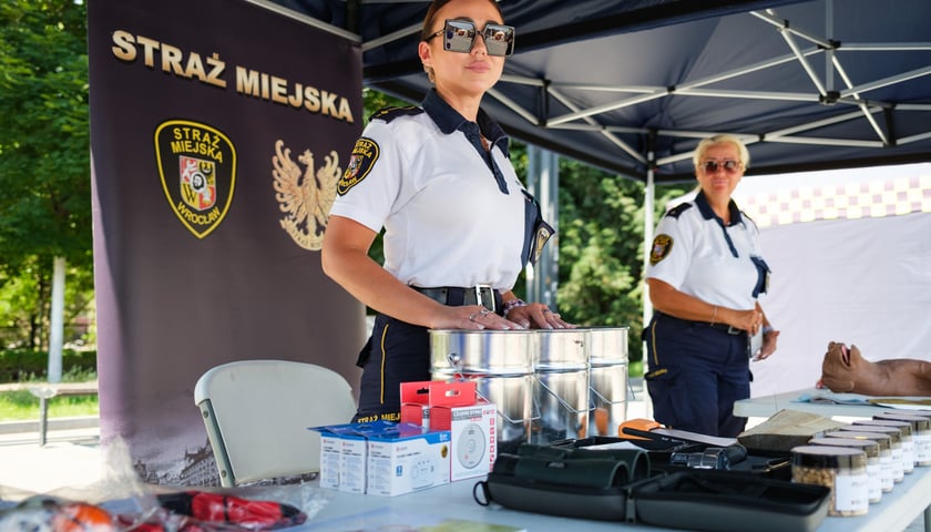 Festyn programu "Bezpieczny Wrocław" na placu Wolności we Wrocławiu