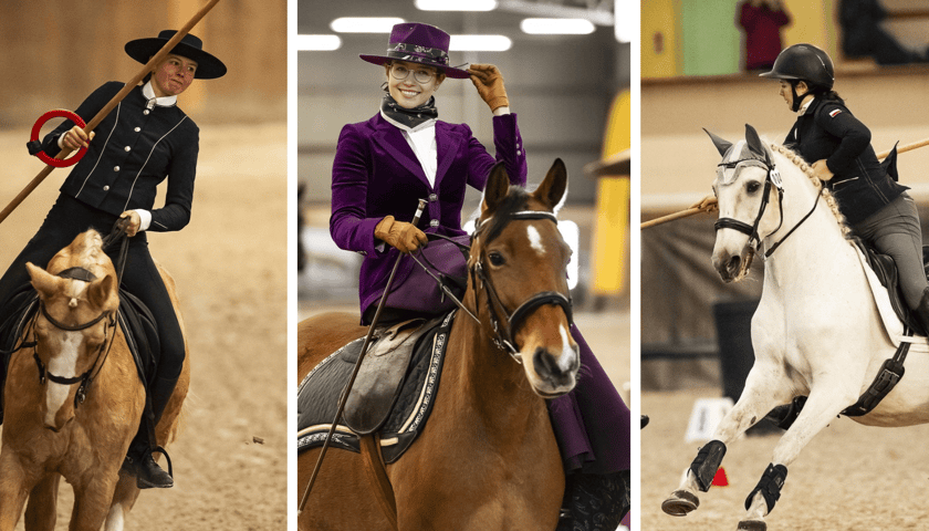 Kolaż 3 zdjęć przedstawiających zawody Working Equitation 