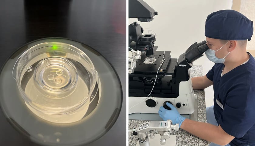 Zdjęcie dzielone na pół: z lewej szklany pojemnik z komórkami: po prawej - mężczyzna w laboratorium ubrany w czepek, maseczkę i fartuch siedzi przy aparaturze z mikroskopem.