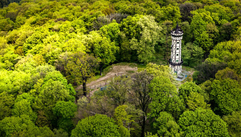 Wieża widokowa na górze Gromnik