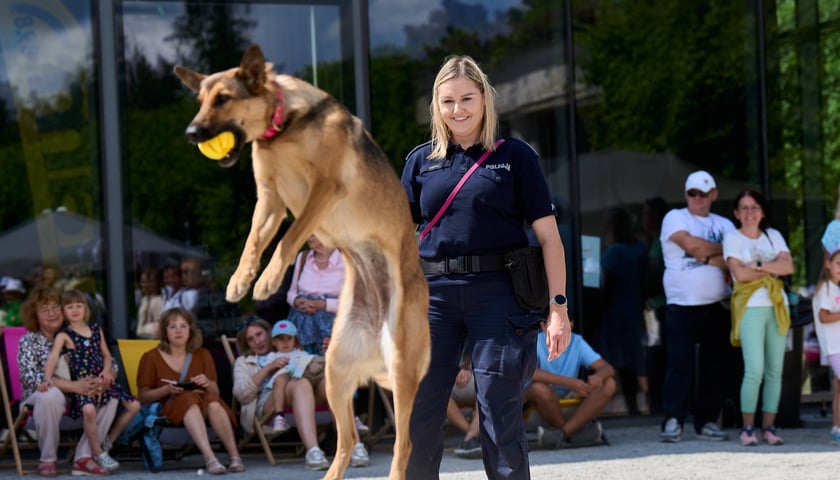 Piknik z policją na Pergoli 