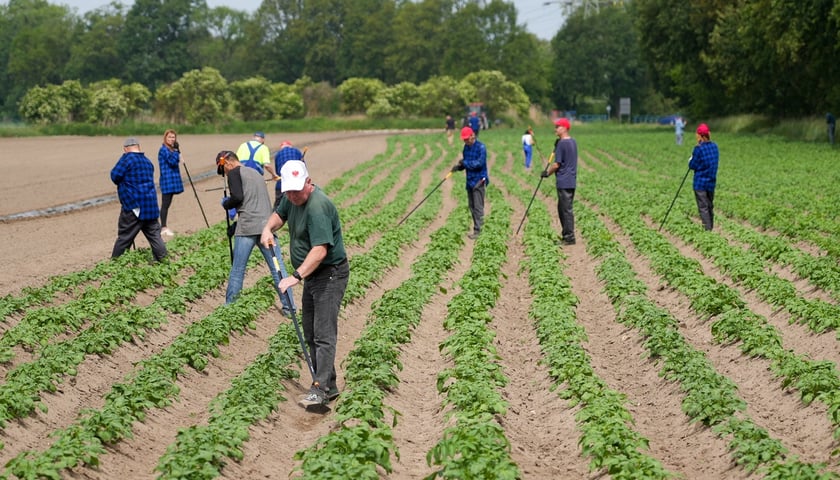 Farma Miejska Wrocław.