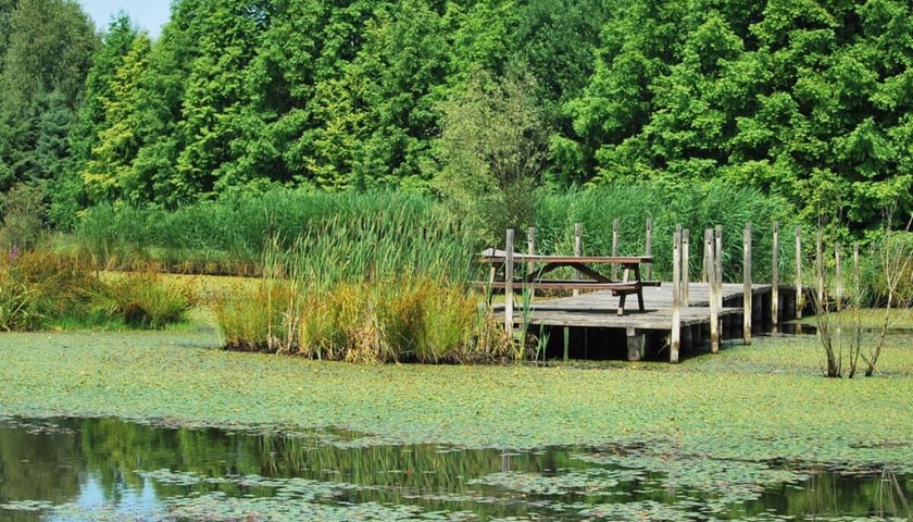 Dziadowa Kłoda