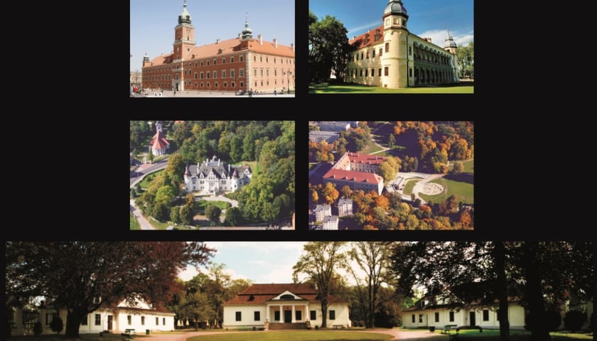 Zobacz Piękno Odnalezione