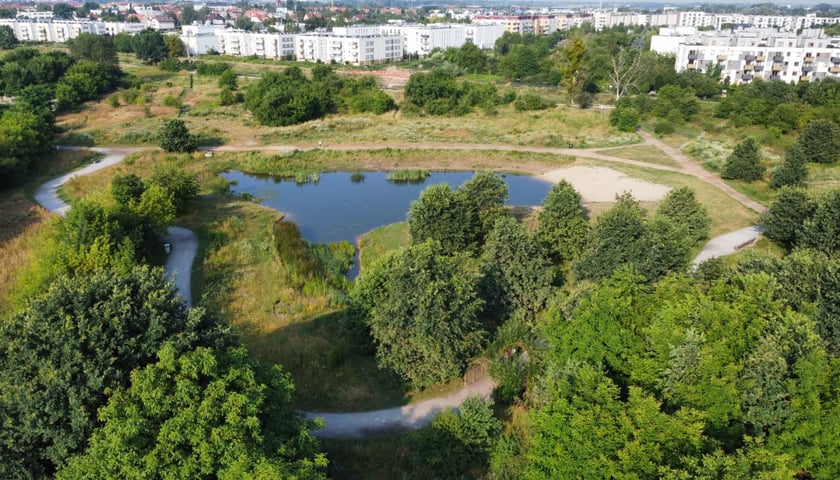 Park Krzycki we Wrocławiu