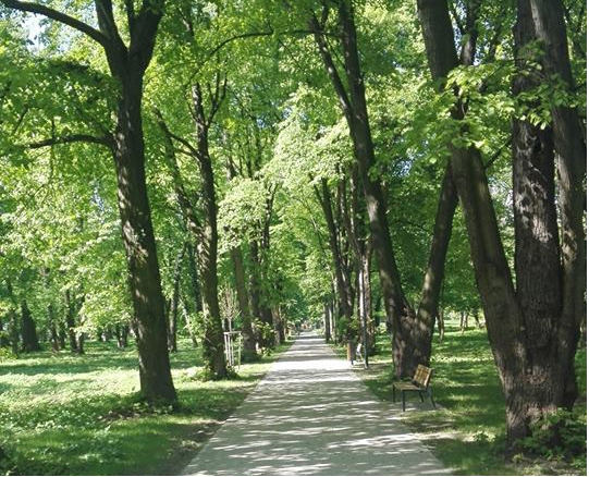 Mieszkańcy Tarnogaju mają odnowiony park