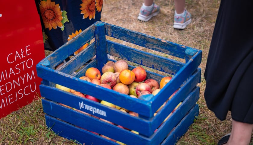Piknik &bdquo;Wakacje z Wroclaw.pl&rdquo; w Parku Szczytnickim w niedzielę 16 sierpnia