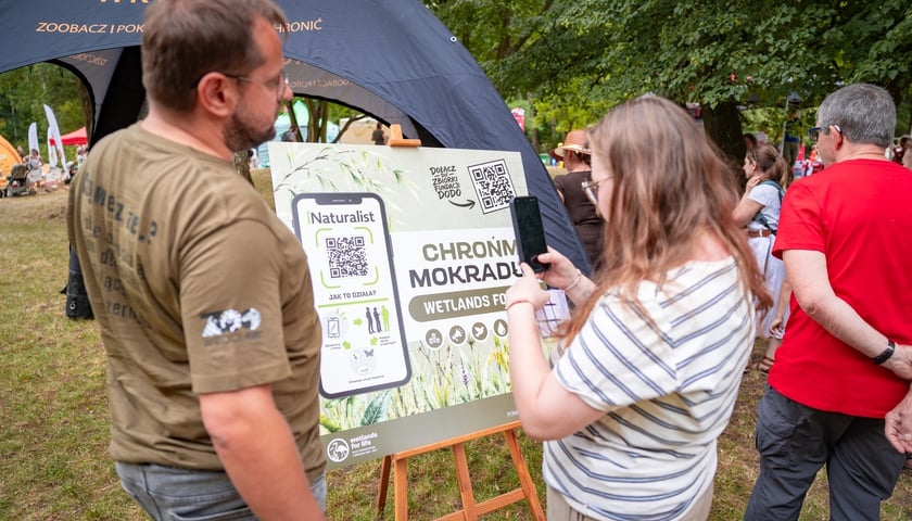 Piknik &bdquo;Wakacje z Wroclaw.pl&rdquo; w Parku Szczytnickim w niedzielę 16 sierpnia