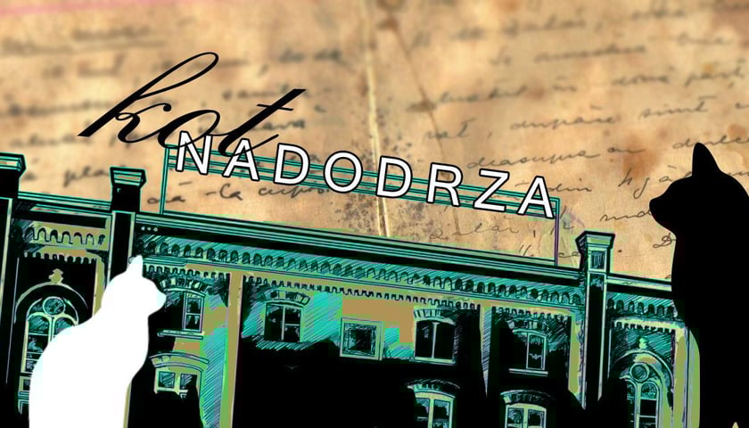 Kocimi ścieżkami po Nadodrzu