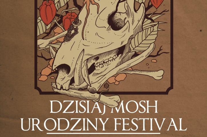 Fest impreza urodzinowa