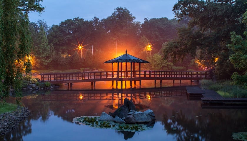 Kończy się sezon w Ogrodzie Japońskim