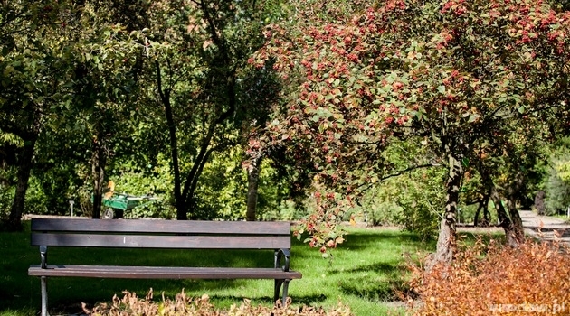 Taniej do Ogrodu Botanicznego