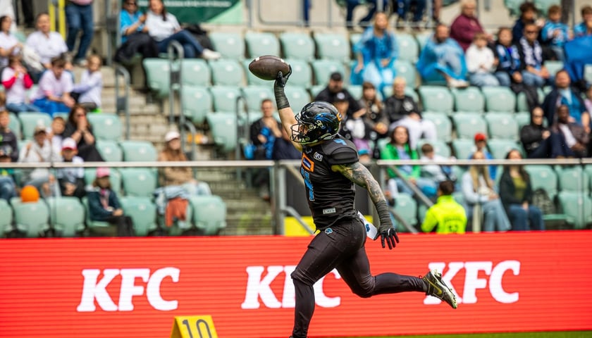 Ostatni mecz Panthers Wrocław przed fazą play-off. Starcie z Berlin Thunder | TRANSMISJA