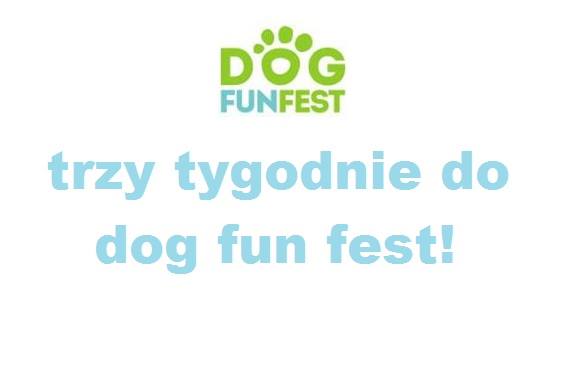 6. edycja Dog Fun Fest
