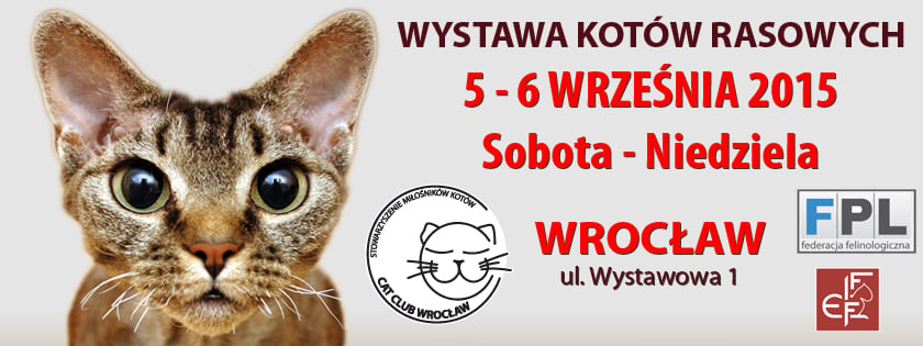 Międzynarodowa wystawa kotów rasowych