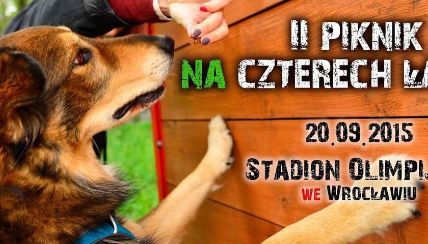 II Piknik na Czterech Łapach