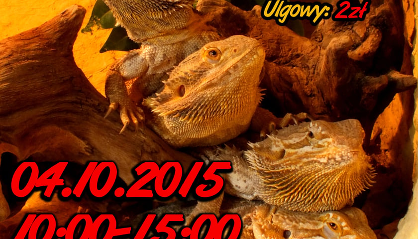 Targi Exotica we Wrocławiu