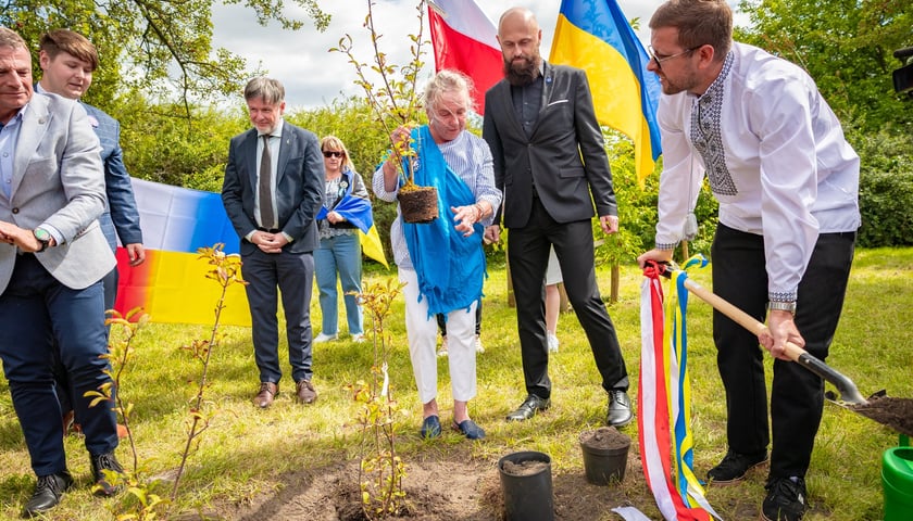 <p>Oleksandr Martyniuk z łopatą, zakładanie Skweru Przyjaźni Polsko-Ukraińskiej, 24 sierpnia 2026</p>