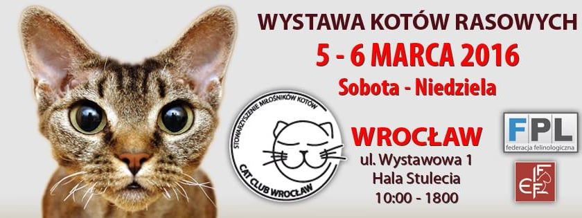 Kocia arystokracja we Wrocławiu