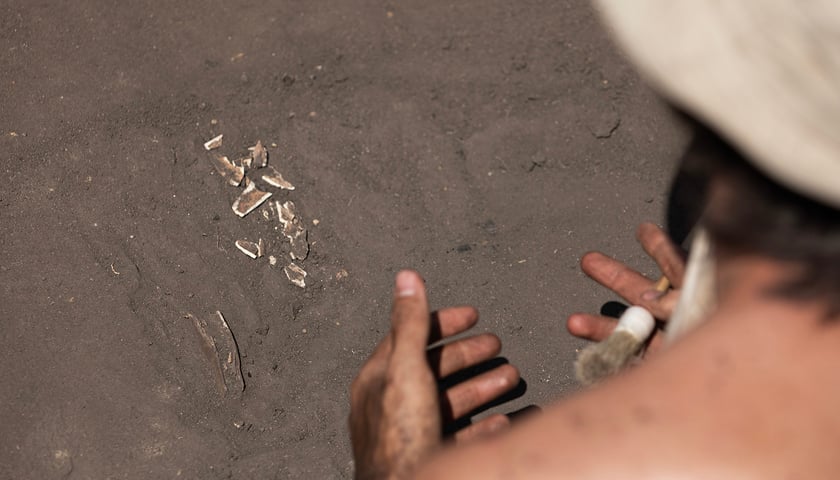 Prace archeologiczne na cmentarzysku koło Żórawiny pod Wrocławiem