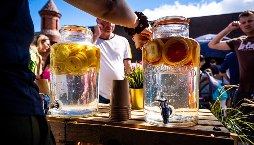 Rodzinny piknik pełen atrakcji we wrocławskim Hydropolis, poprzednia edycja. Na zdjęciu zadowoleni, bawiący się uczestnicy (zdjęcie archiwalne)