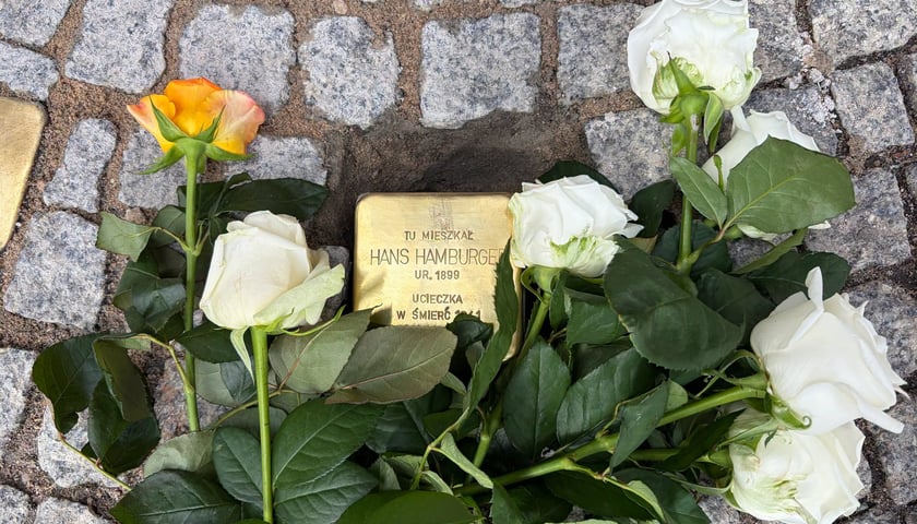 Uroczystość wmurowania kamienia pamięci Hansa Hamburgera na placu Solnym we Wrocławiu. Na zdjęciu mosiężna kostka z napisem