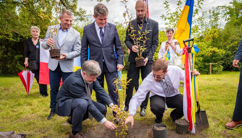 <p>Początek sadzenia roślin na symbolicznym skwerze polsko-ukraińskim we Wrocławiu.</p>