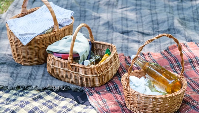 Piknik stowarzyszenia Krynolina w Parku Południowym. Wrocław, 29 sierpnia 2026.