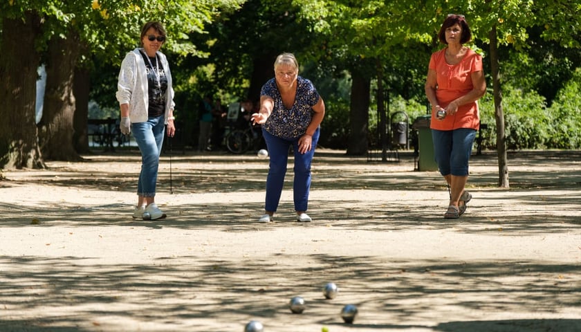 Piknik Przestrzeni Trzeciego Wieku w Parku Południowym. Wrocław, 29 sierpnia 2026.