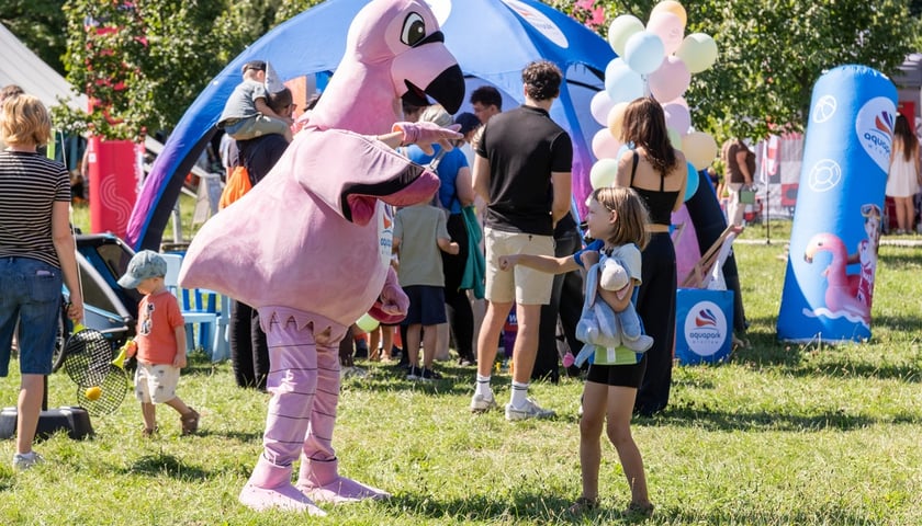 Piknik "Wakacje z Wroclaw.pl" na Polanie Karłowickiej