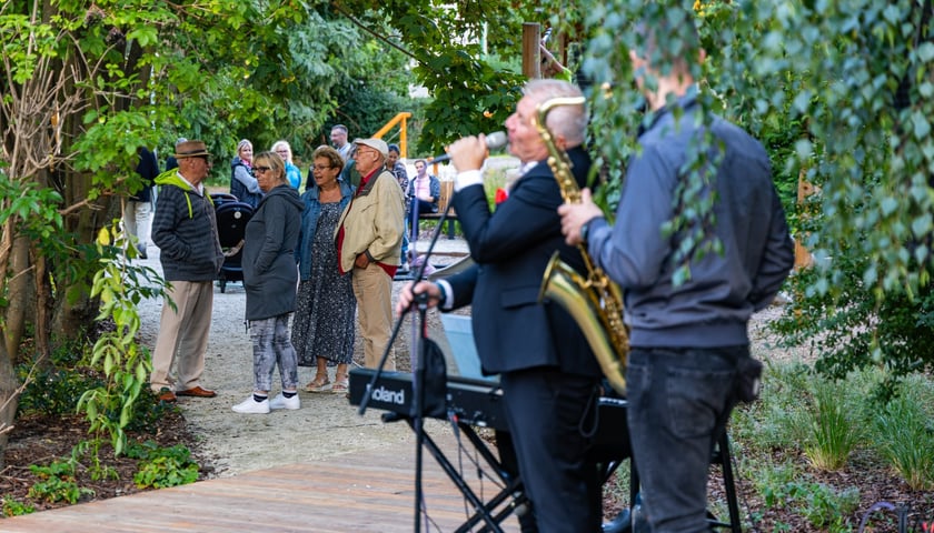 Koncert muzyki na żywo w wykonaniu Tomka Krajewskiego