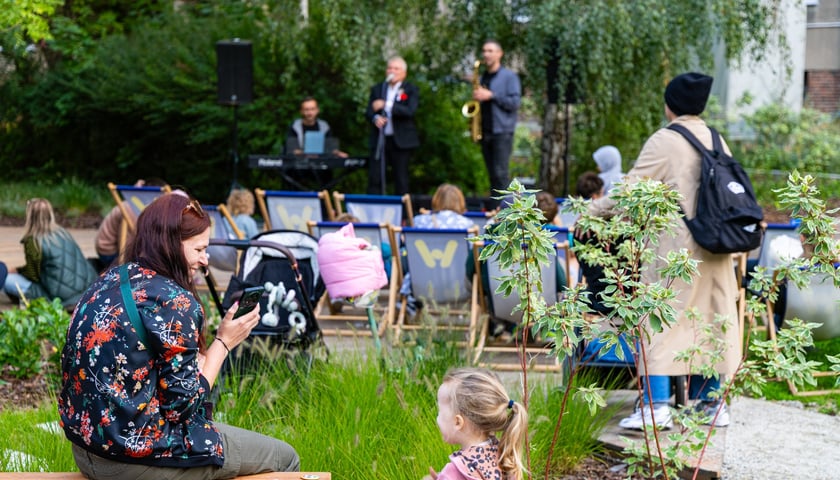 Koncert muzyki na żywo w wykonaniu Tomka Krajewskiego