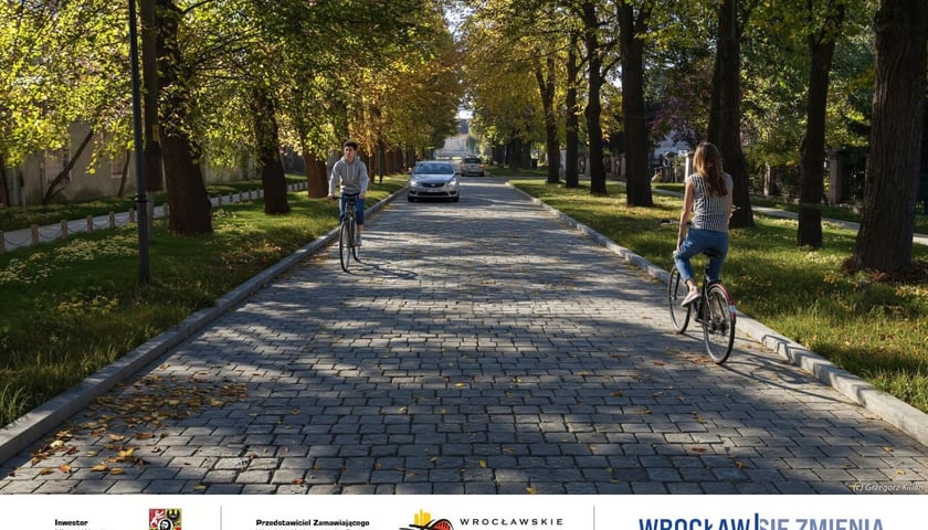 Wizualizacja ul. Pawiej
