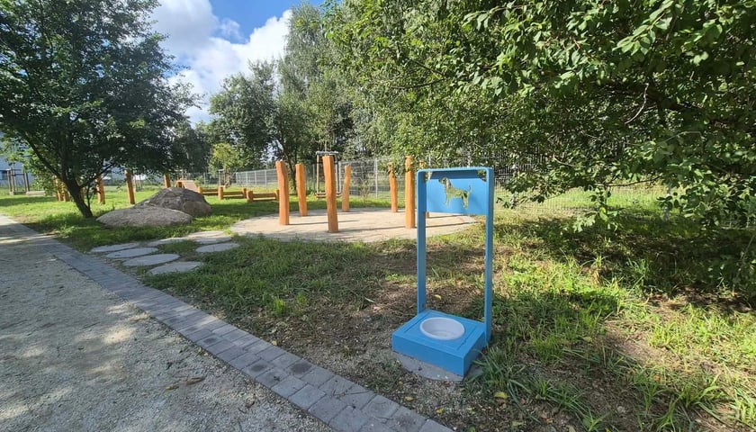 Psi wybieg przy AOW na Polanowicach