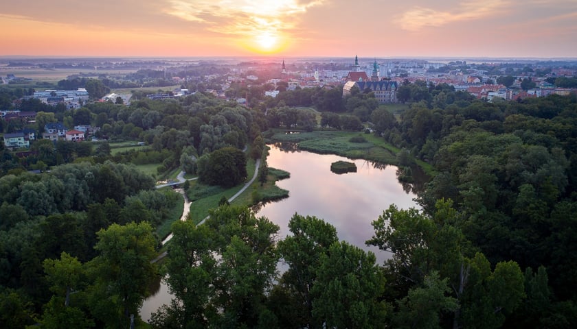 Panorama Oleśnicy