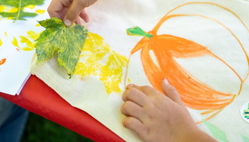 Piknik Sobota z Zielonym Wrocławiem na Polanie Popowickiej