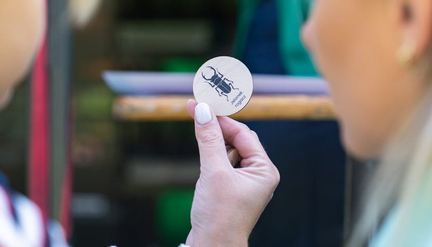 Piknik Sobota z Zielonym Wrocławiem na Polanie Popowickiej