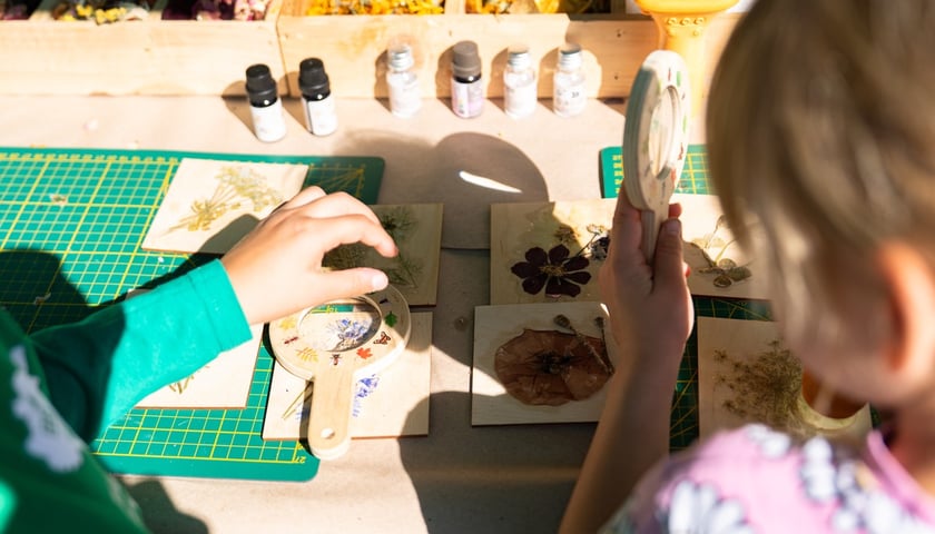 Piknik Sobota z Zielonym Wrocławiem na Polanie Popowickiej