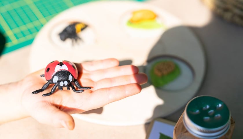 Piknik Sobota z Zielonym Wrocławiem na Polanie Popowickiej