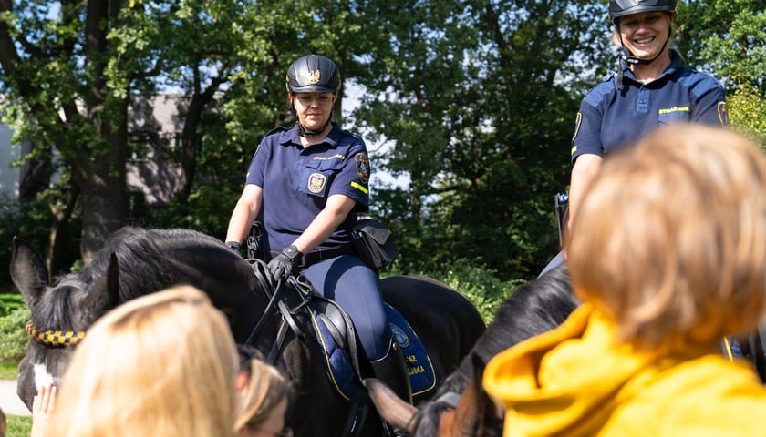 Piknik Sobota z Zielonym Wrocławiem na Polanie Popowickiej