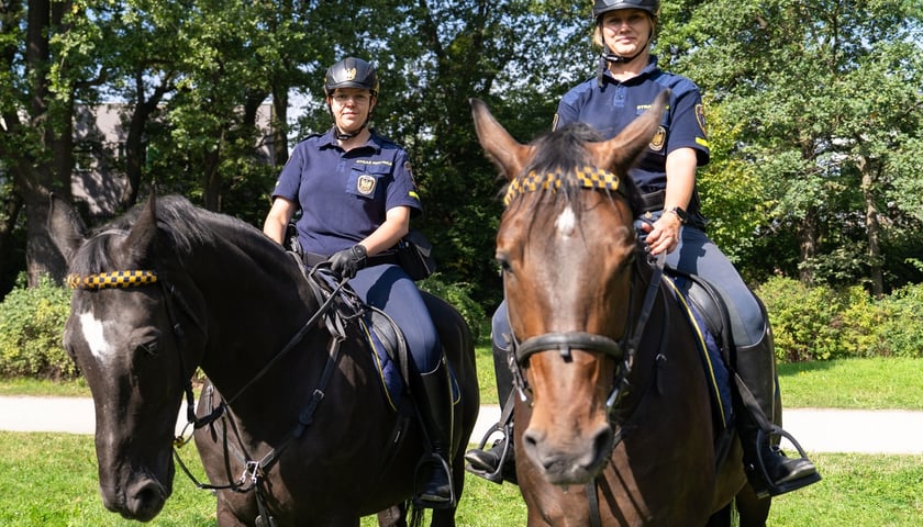 Piknik Sobota z Zielonym Wrocławiem na Polanie Popowickiej