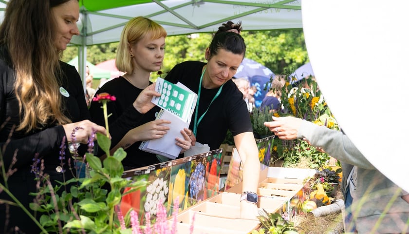 Piknik Sobota z Zielonym Wrocławiem na Polanie Popowickiej