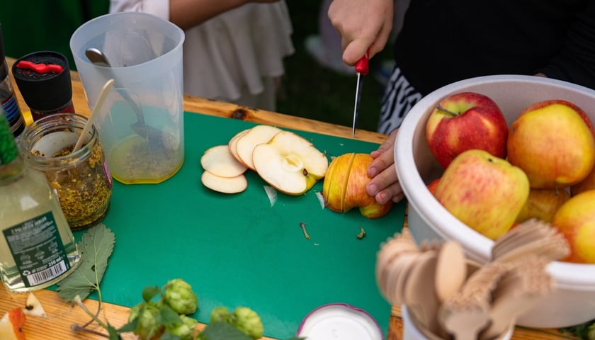 Piknik Sobota z Zielonym Wrocławiem na Polanie Popowickiej