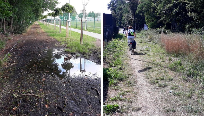 dwa zdjęcia: Promenada Krzycka przed rewitalizacją - na zdjęciu widoczny jest przedept biegnący wzdłuż nasypu kolejowego między ul. Krzycką i Racławicką