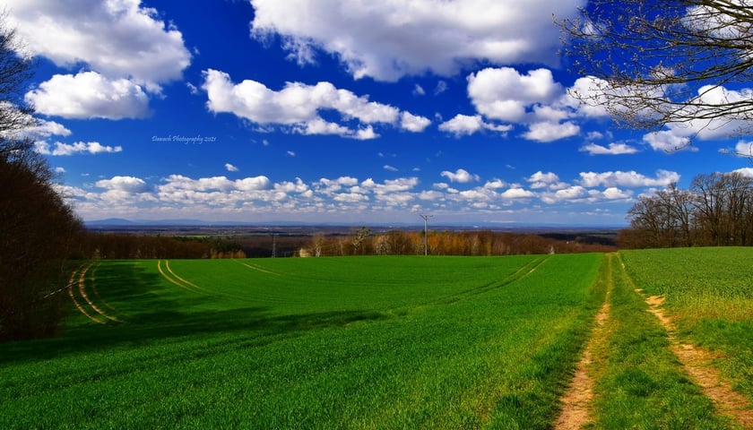 Oborniki Śląskie