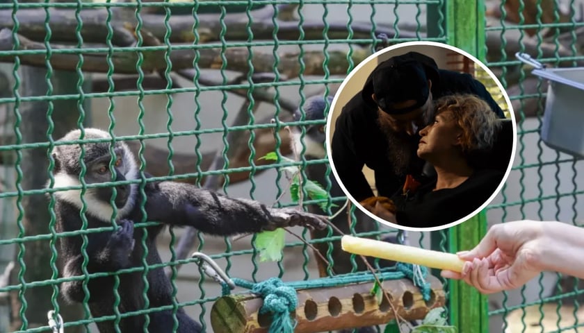 ZOO Gang z wrocławskiego ogrodu zoologicznego powraca w kampanii dotyczącej nowego numeru alarmowego